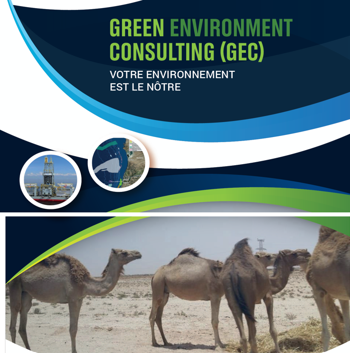 Green Environment Consulting