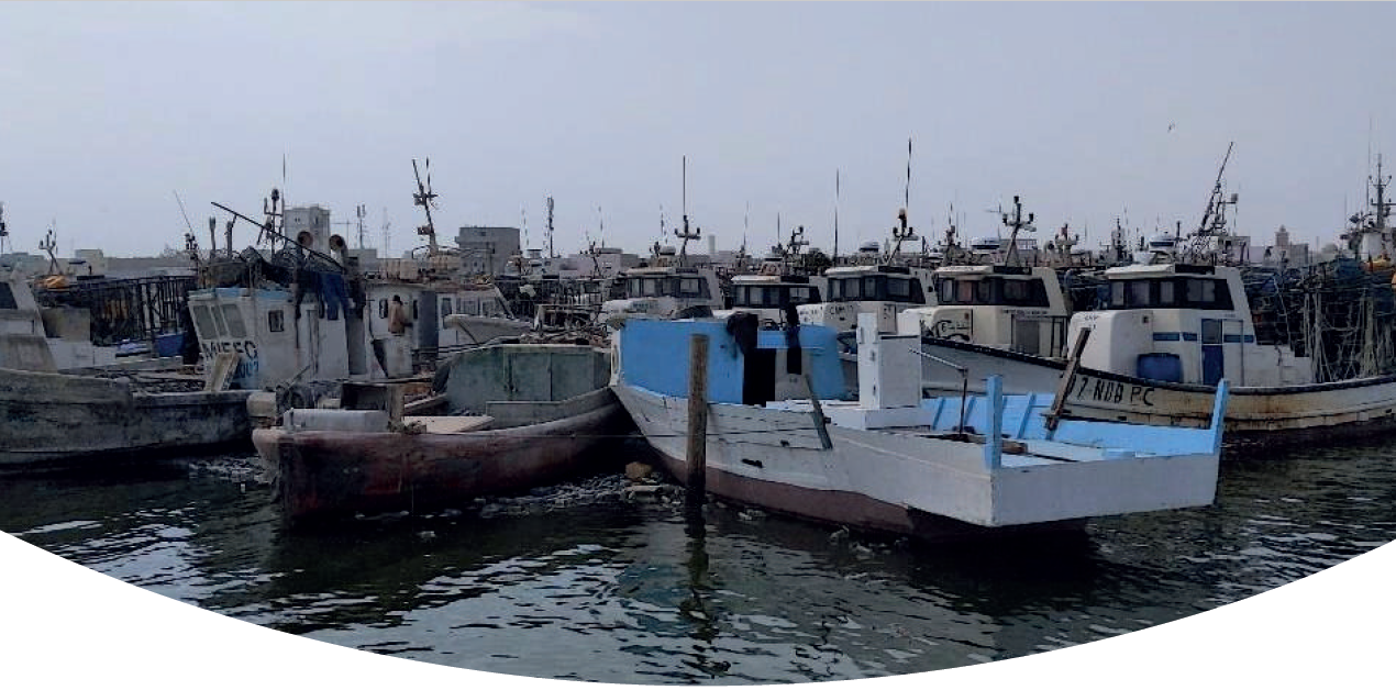 Surveillance environnementale côtière et marine GEC